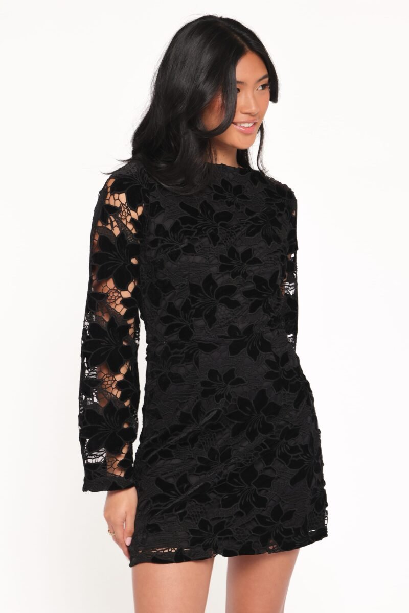 Cynthia Velvet Lace Mini Dress - Black — view 1
